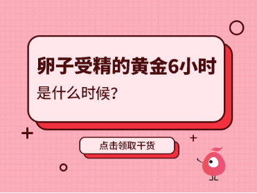 卵子受精的黄金6小时是什么时候